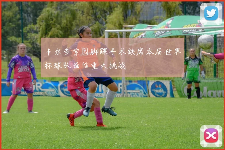 卡尔多索因脚踝手术缺席本届世界杯球队面临重大挑战